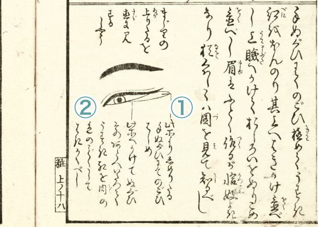 『都風俗化粧伝』（部分）　佐山半七丸著　文化10年（1813）